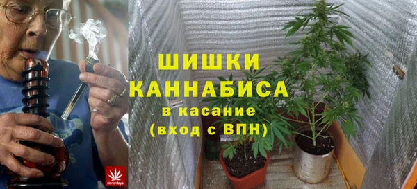 PSILOCYBIN Елабуга