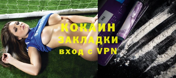твердый Осташков