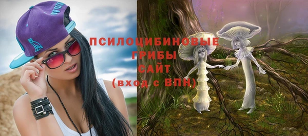 мескалин Елизово