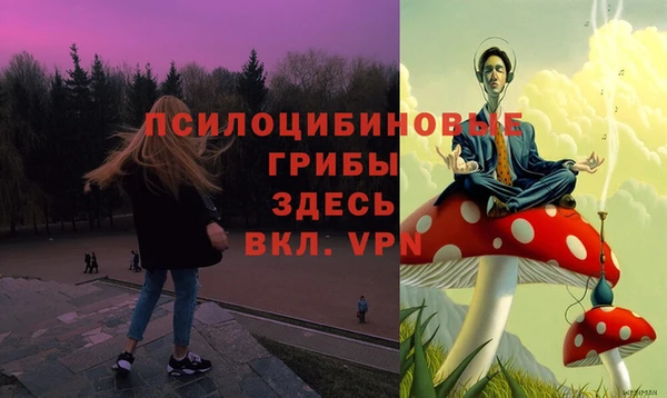 COCAINE Ельня